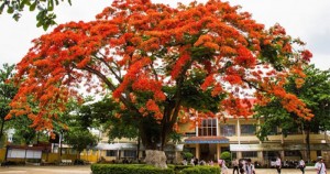 MỘT NĂM HỌC ĐÁNG NHỚ...