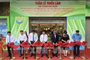 Quảng Bình: Quảng Bá Sản Phẩm Tiêu Biểu Và Đặc Sản Của Tỉnh Tại TP.HCM