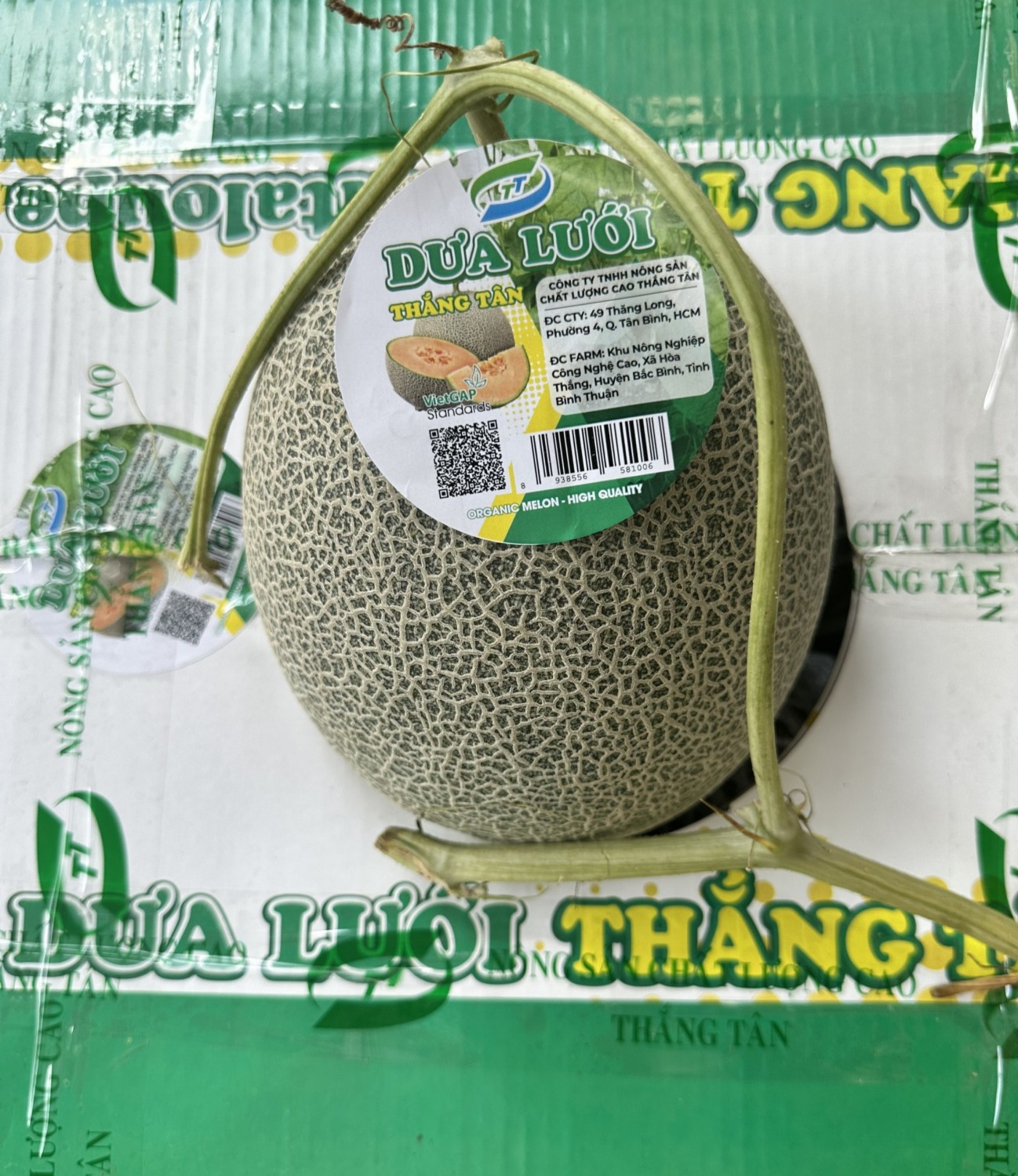 dua luoi thang tan 2